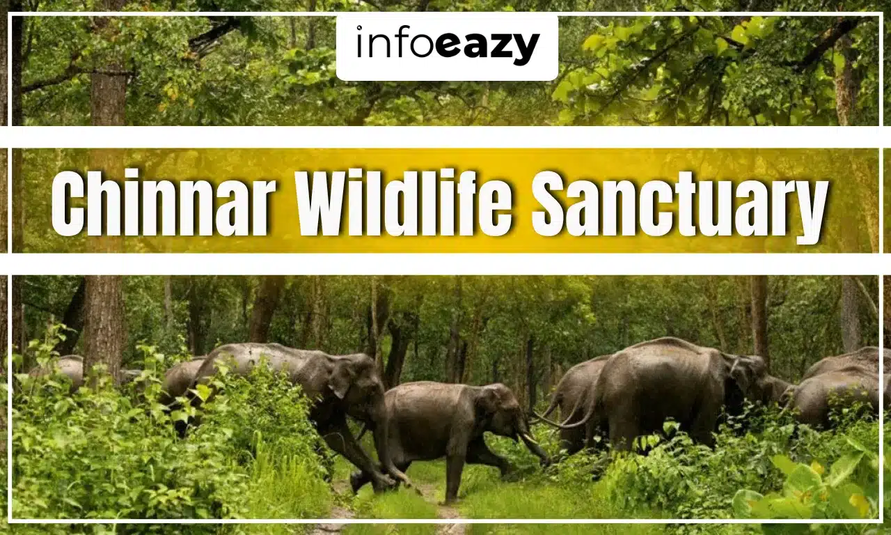 Chinnar Wildlife Sanctuary