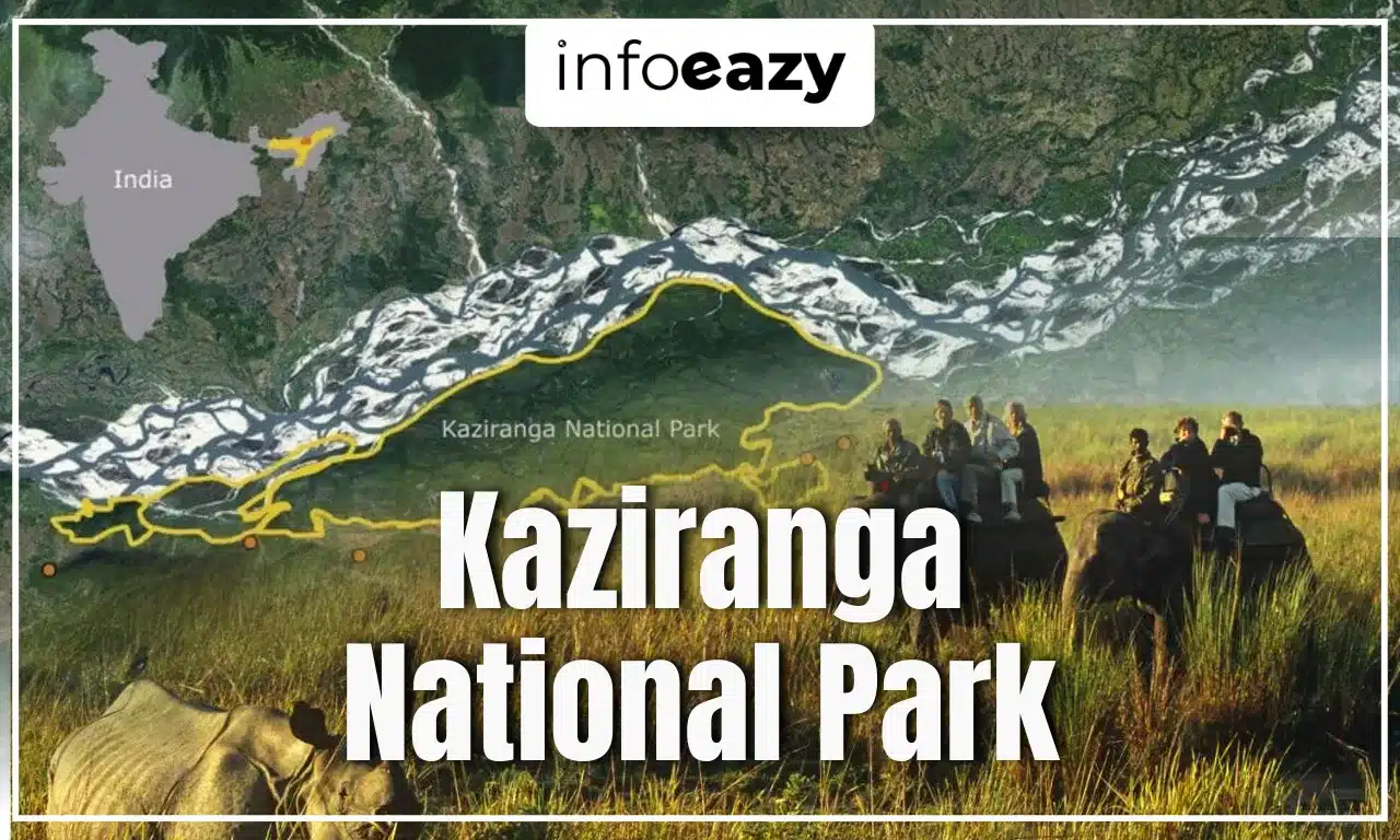 Kaziranga National Park