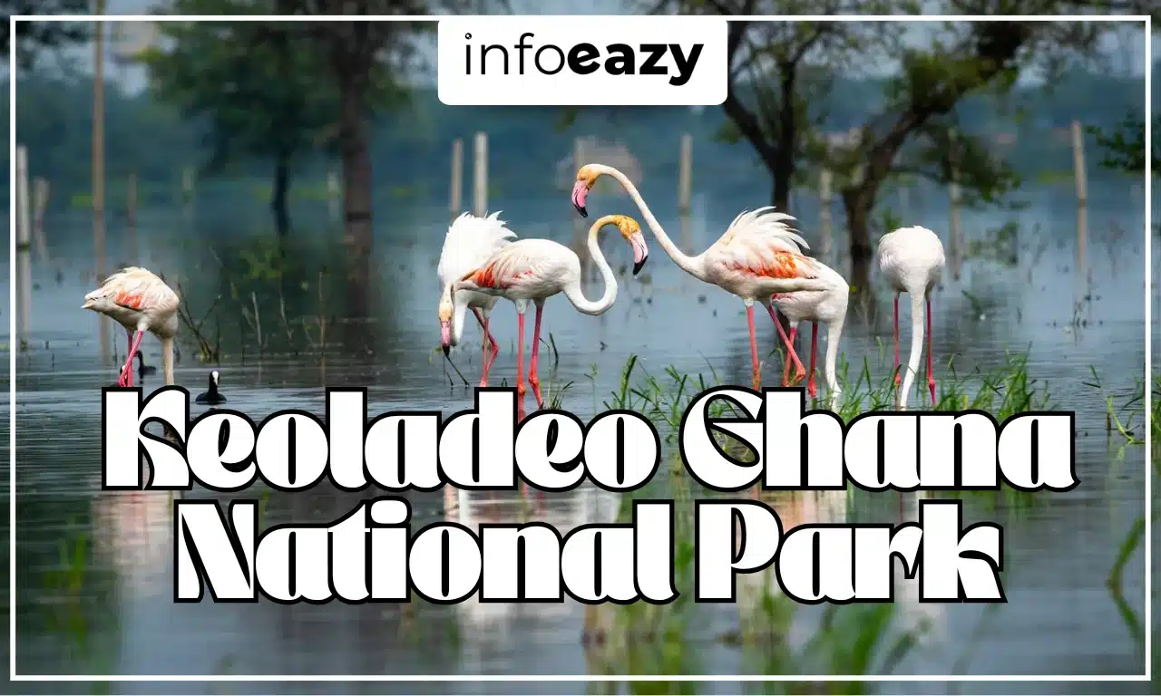 Keoladeo Ghana National Park