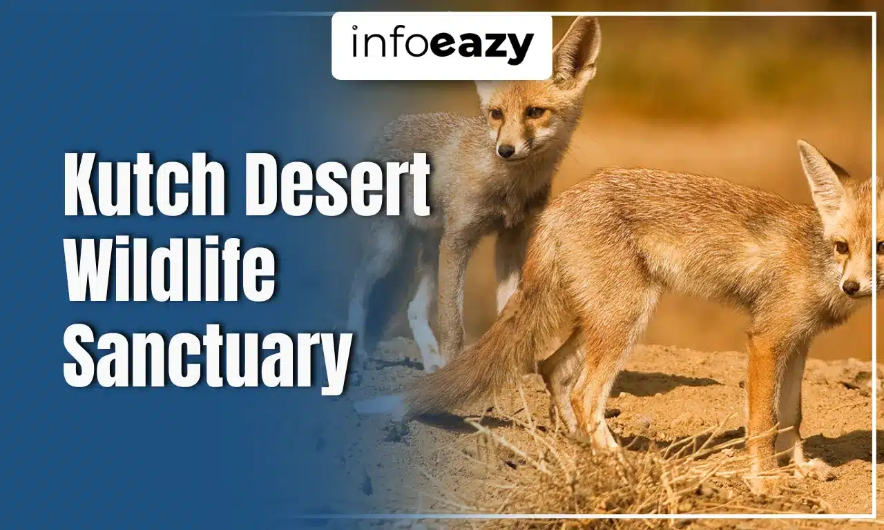Kutch Desert Wildlife Sanctuary