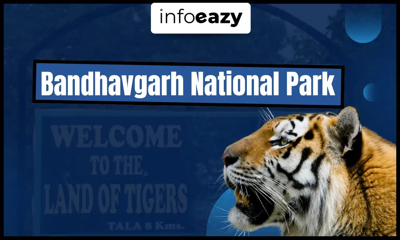 Bandhavgarh National Park