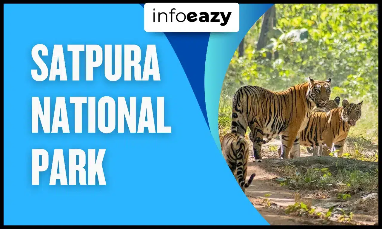 Satpura National Park