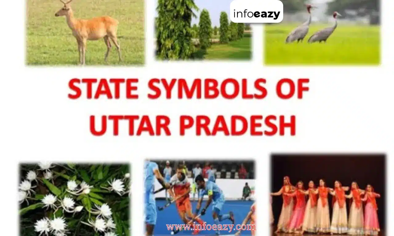 State Symbols of Uttar Pradesh