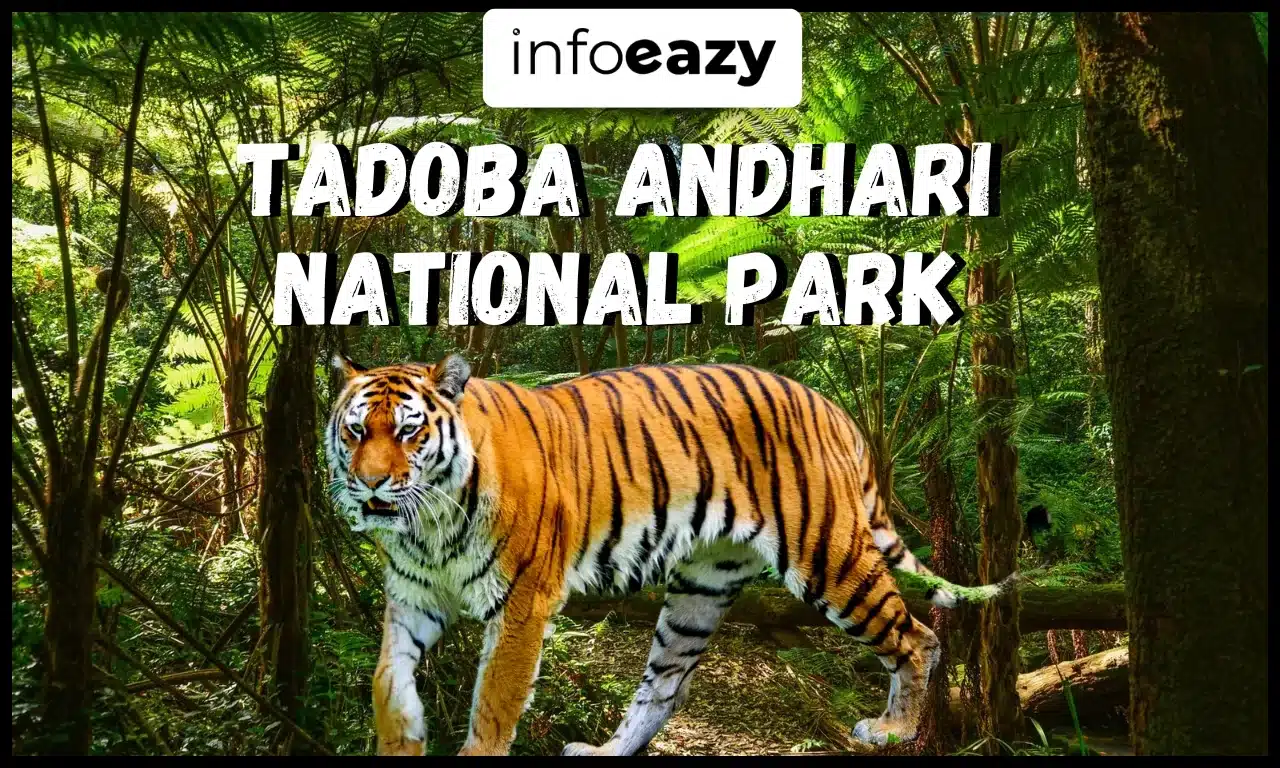 Tadoba Andhari National Park